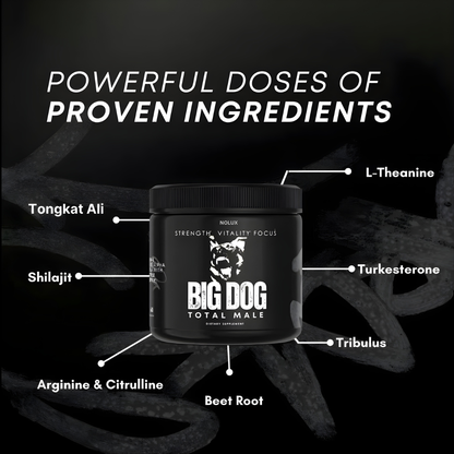 3-in-1 Big Dog Blend