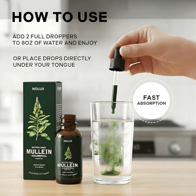 Nolux Mullein + Chlorophyll Drops Mullein + Chlorophyll Drops