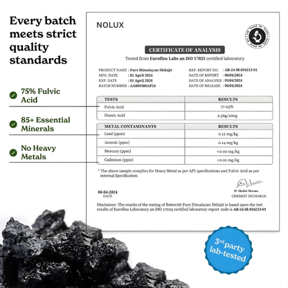 10-in-1 Shilajit Power Blend