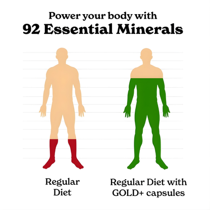 10-in-1 Shilajit Power Blend